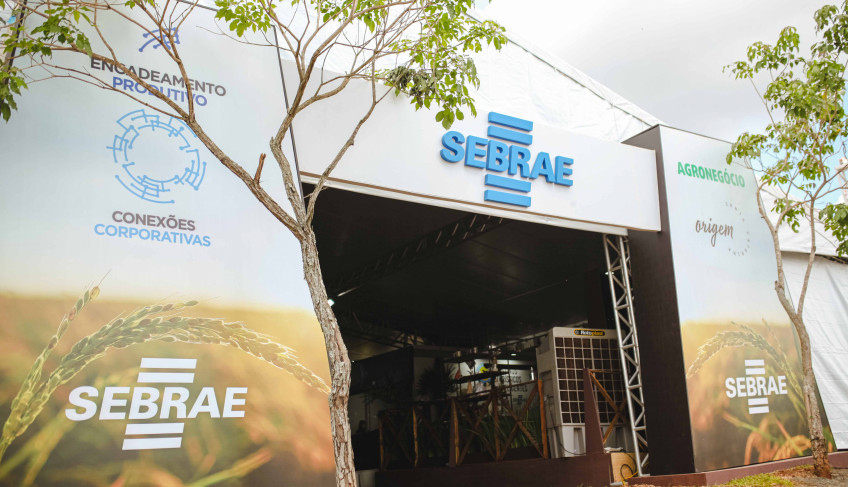 ASN Santa Catarina - Agência Sebrae de Notícias