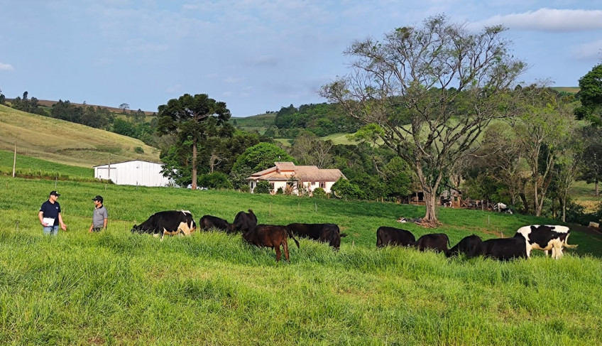 ASN Santa Catarina - Agência Sebrae de Notícias