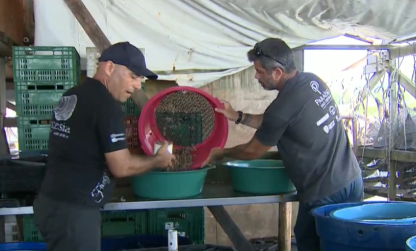 ASN Santa Catarina - Agência Sebrae de Notícias