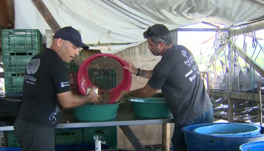 ASN Santa Catarina - Agência Sebrae de Notícias