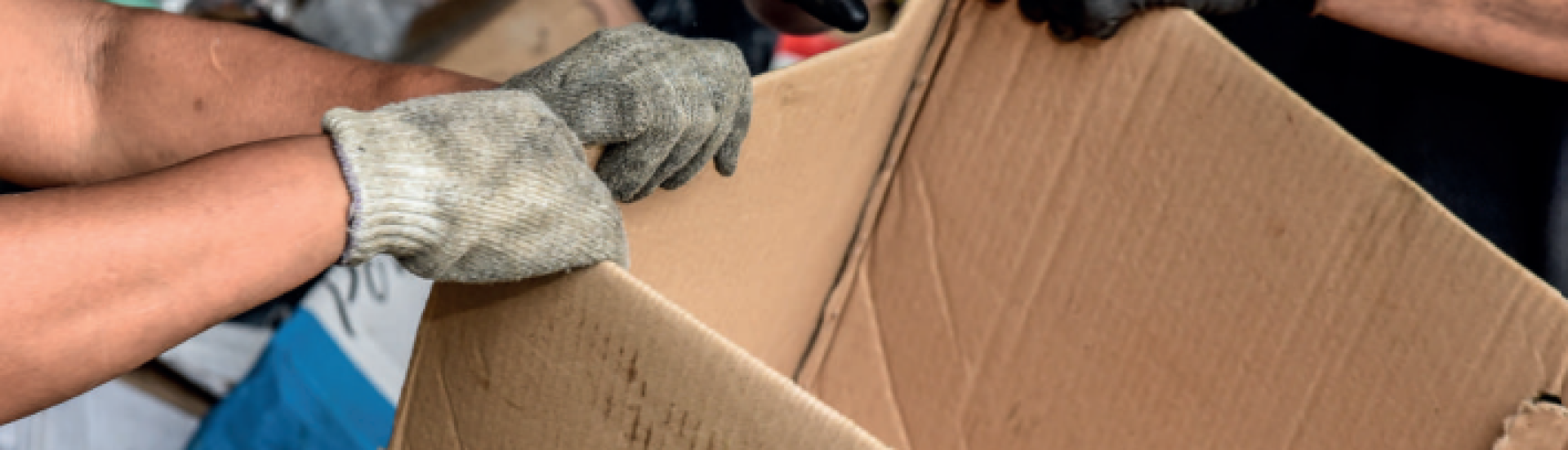 ASN Santa Catarina - Agência Sebrae de Notícias