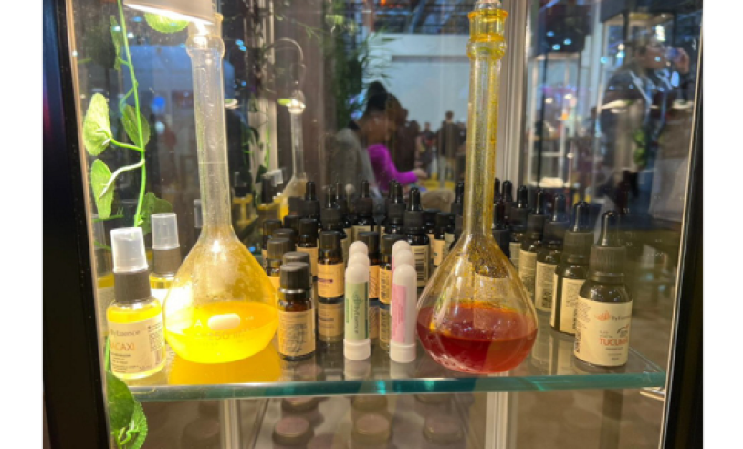 ASN Santa Catarina - Agência Sebrae de Notícias