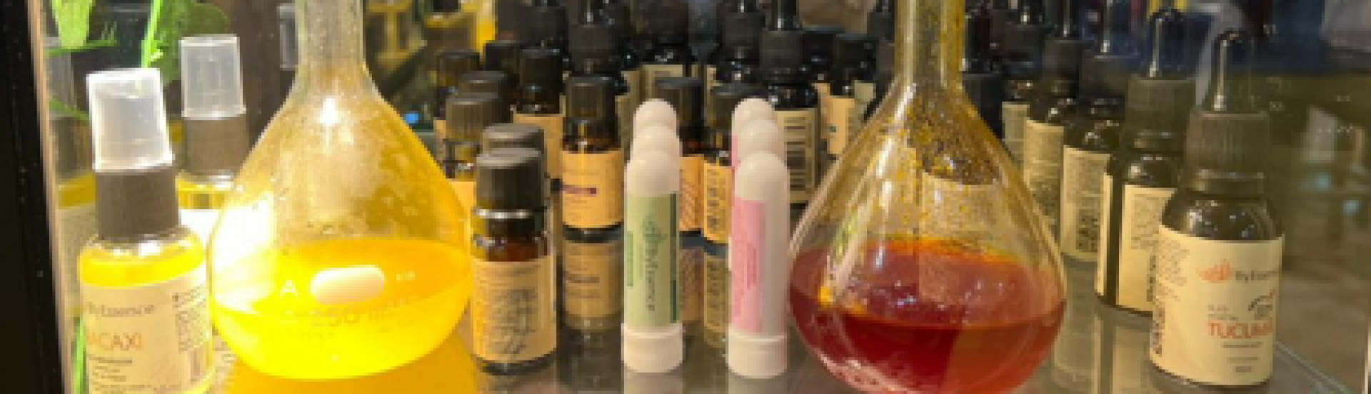 ASN Santa Catarina - Agência Sebrae de Notícias