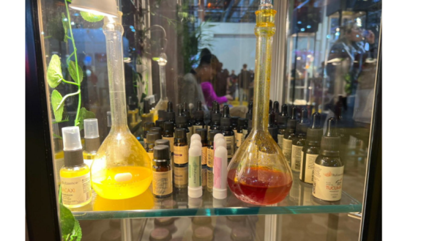 ASN Santa Catarina - Agência Sebrae de Notícias