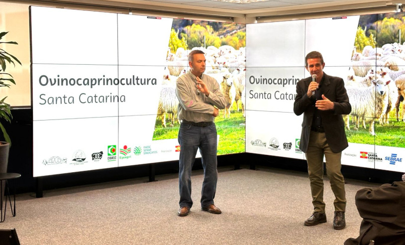 Sebrae/SC entrega estudo de Inteligência de Mercado da Ovinocaprinocultura e apresenta resultados inéditos de Genômica Ovina no Brasil
