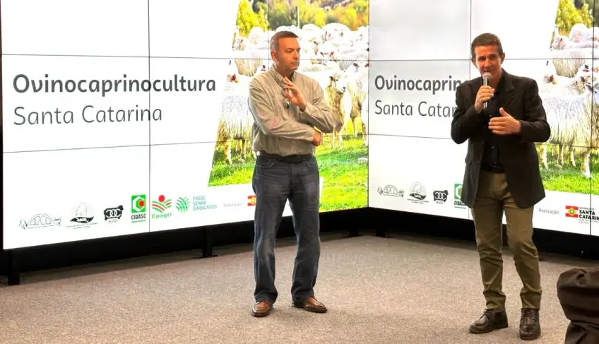 Sebrae/SC entrega estudo de Inteligência de Mercado da Ovinocaprinocultura e apresenta resultados inéditos de Genômica Ovina no Brasil